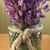 Susan Jurevic Stutsman's profile image