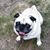 Deb Retzlaff's profile image
