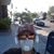 John Hobin's profile image