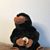 Janit Lachowski's profile image