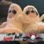 Gayla Roland Ove's profile image