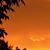 Tina Carsten's profile image