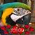 Nancy Drake's profile image
