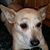 Amy Burns's profile image