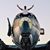 Peter Kando's profile image