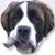 William Dornenburg's profile image
