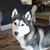 Carol Closterman Clark's profile image