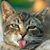 Paula Mcgill's profile image