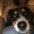 Charlene Hackenburg's profile image