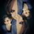Karla Franken's profile image