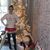 Amanda Nelson Troyer's profile image