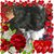 Dorothy Esce's profile image