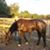 Brianne Sundwall's profile image