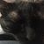 Ric Furley's profile image