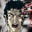 Jackson Lanzing's profile image