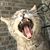 Matt Bennett's profile image