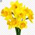 Jennifer Burkey Roberts's profile image