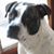 Gina Gionis's profile image