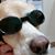 Lynda Evans's profile image