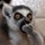 Jason Verachtert's profile image