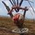 John Wilson's profile image