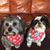 Kelli Holden Knapp-Cordaro's profile image