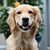 Anne Pickrell's profile image