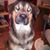 Cherie Szpytek's profile image