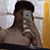 David Andres's profile image