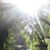 Leslie Hiles's profile image