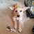 Renae Tellinghiusen's profile image