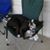 Penny Fuller Chappey's profile image