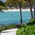 Francesca Rosselli's profile image