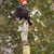 John Fitzpatrick's profile image