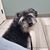 Renee Robillard's profile image