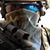 Dominic Peace Dirton's profile image