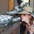 Renee Marshall Soberano's profile image