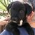 Tracie Evans Sewell's profile image
