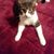 Tina Kidd Young's profile image