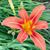 Katie Boggs's profile image