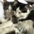 Catherine Morsellino's profile image