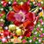 Tina Bravo's profile image