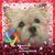 Patricia Watson's profile image
