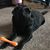 Christina Lucille's profile image