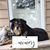 Cheryl Servidio-Covello's profile image