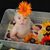 Dottie Nunnally Bell's profile image