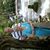 Shirley Burnam's profile image