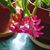 Patti Cooper Meyer's profile image