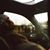 Mirage Miraj D'Ave's profile image
