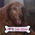 Carol Wood Shearer's profile image